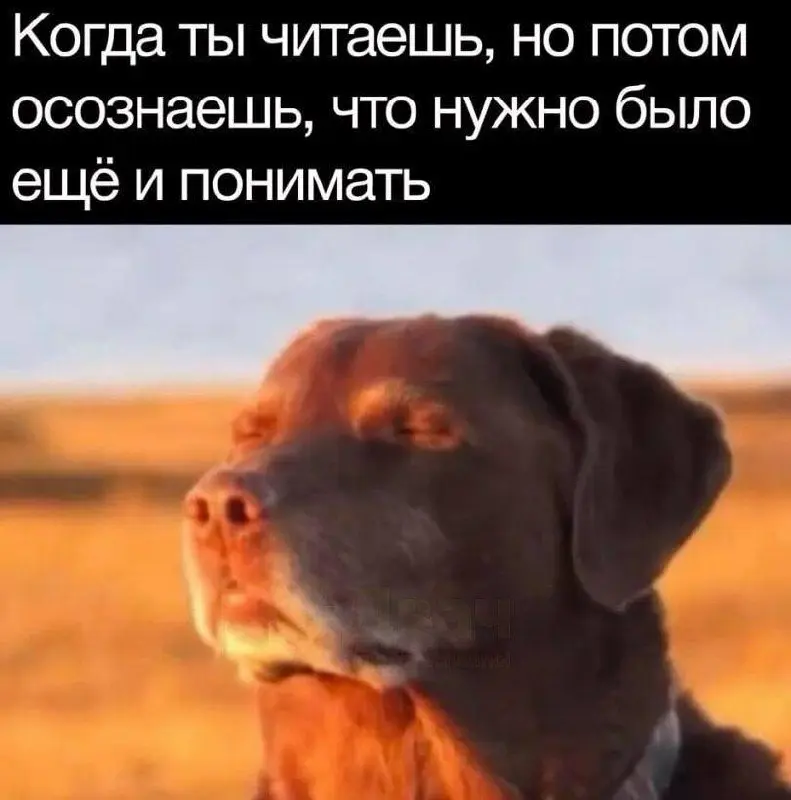Если загрузится, можно посмеяться ) | Сетка — социальная сеть от hh.ru