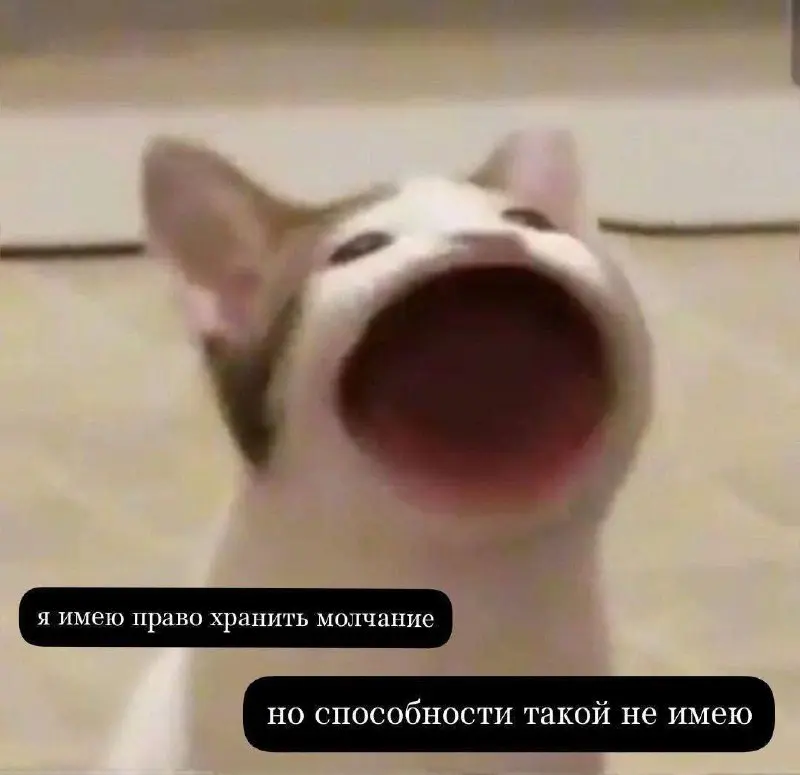 Если загрузится, можно посмеяться ) | Сетка — социальная сеть от hh.ru