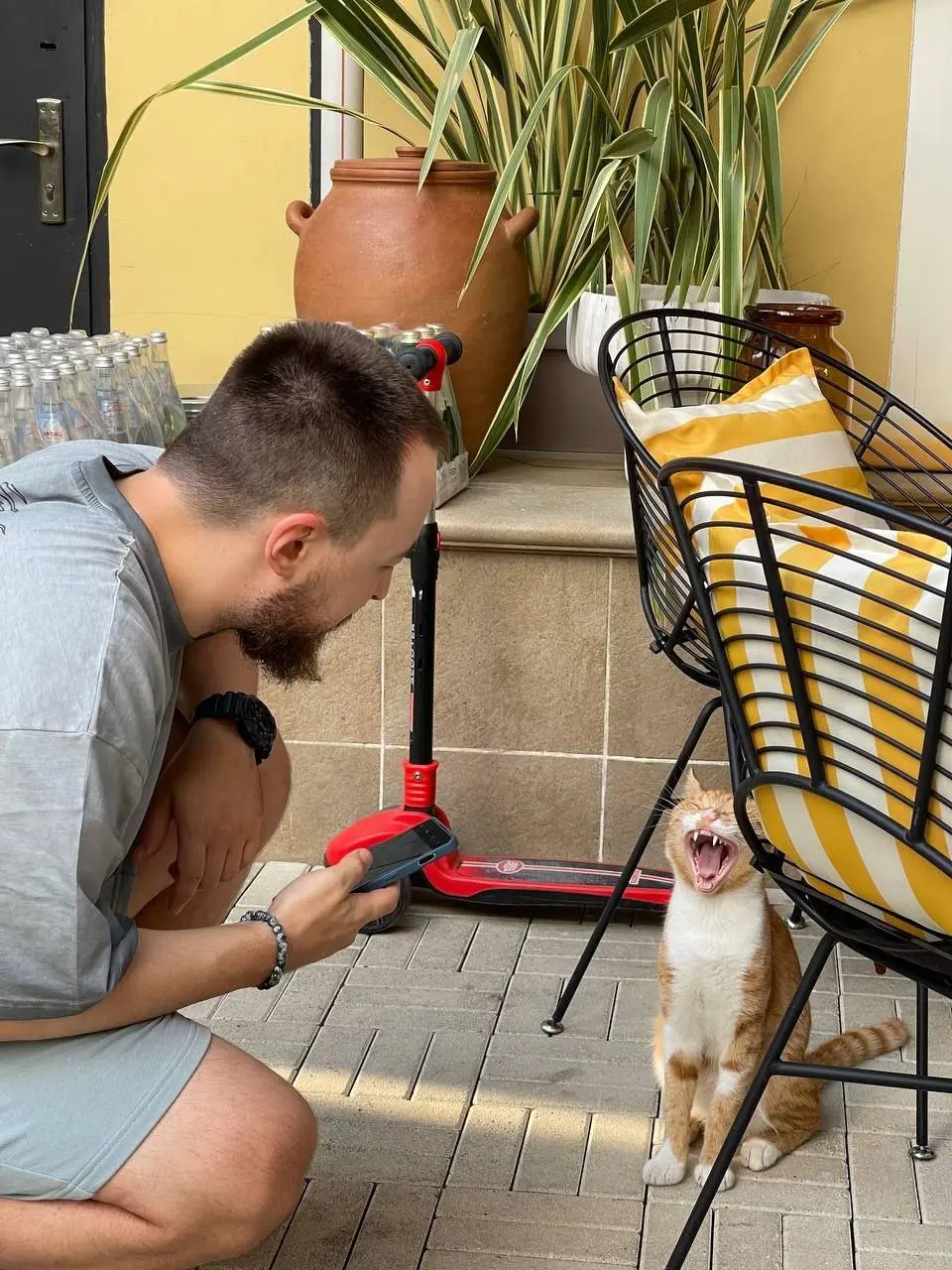 💬 Пост-знакомство
Меня зовут Григорий. 8+ лет в digital-маркетинге (ex-Skillbox, GeekBrains).
Учился на юриста, но стал маркетологом. Ни разу не пожалел | Сетка — социальная сеть от hh.ru