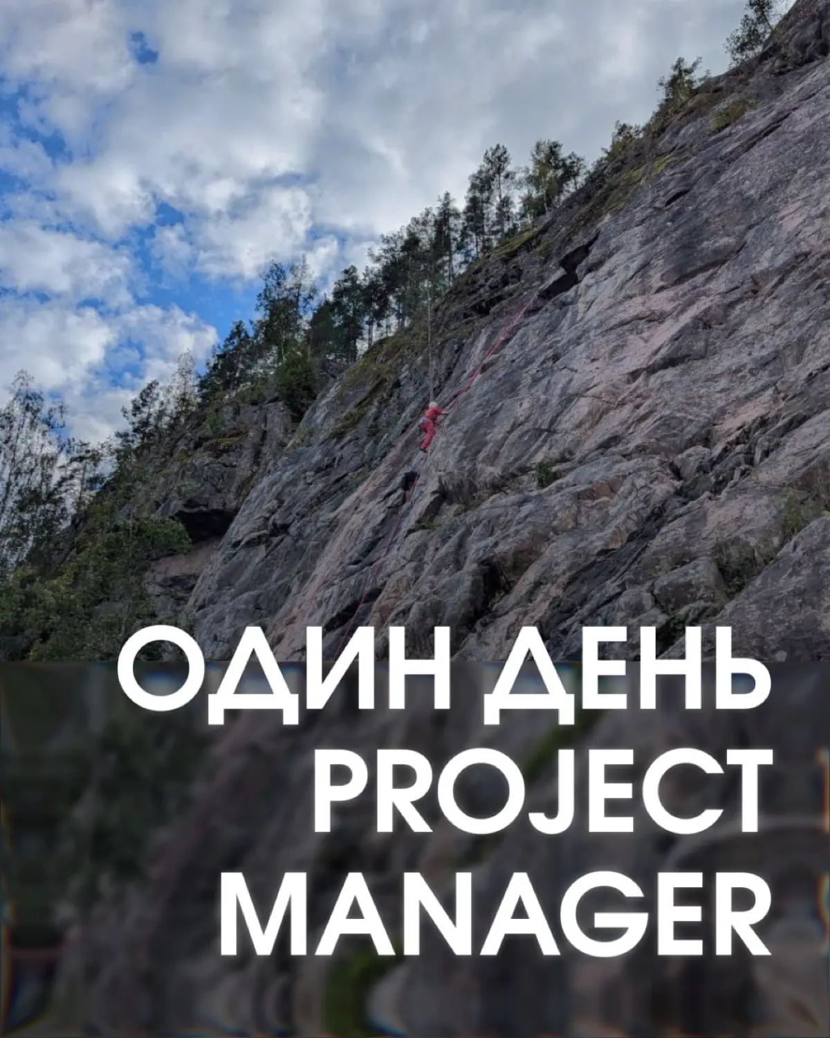 Один день PROJECT MANAGER | Сетка — социальная сеть от hh.ru