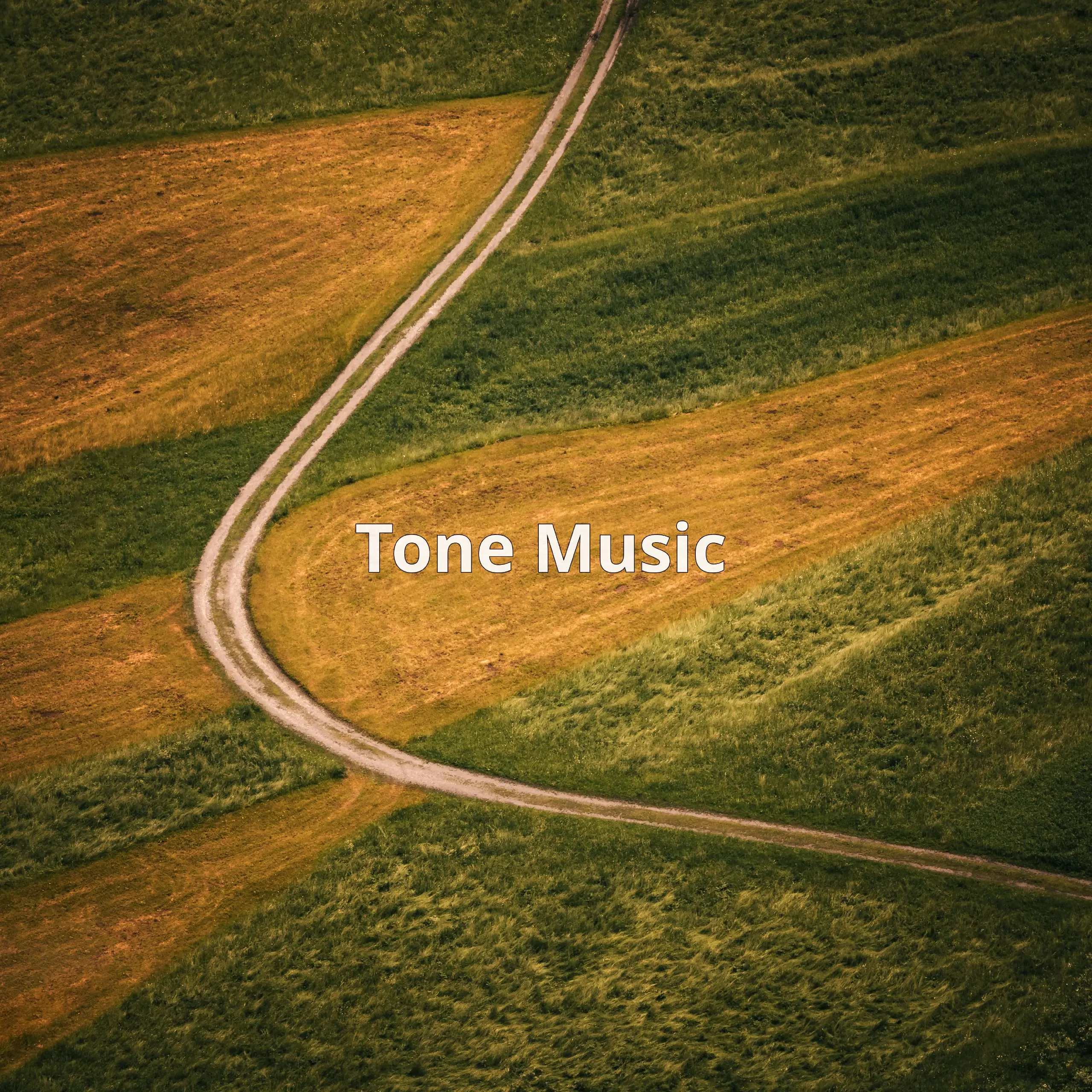 Tone Music — это платформа стриминга музыки и торговли акциями, связанная с реальными доходами от роялти | Сетка — социальная сеть от hh.ru