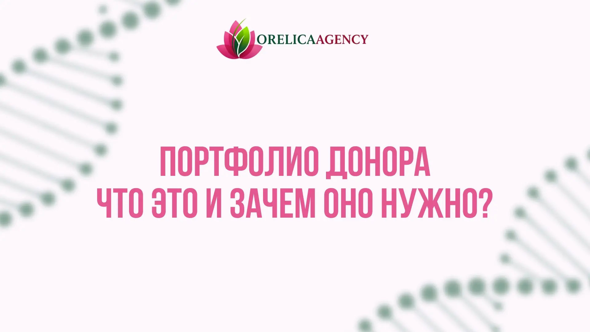 🍀 Портфолио донора — что это и зачем оно нужно | Сетка — социальная сеть от hh.ru