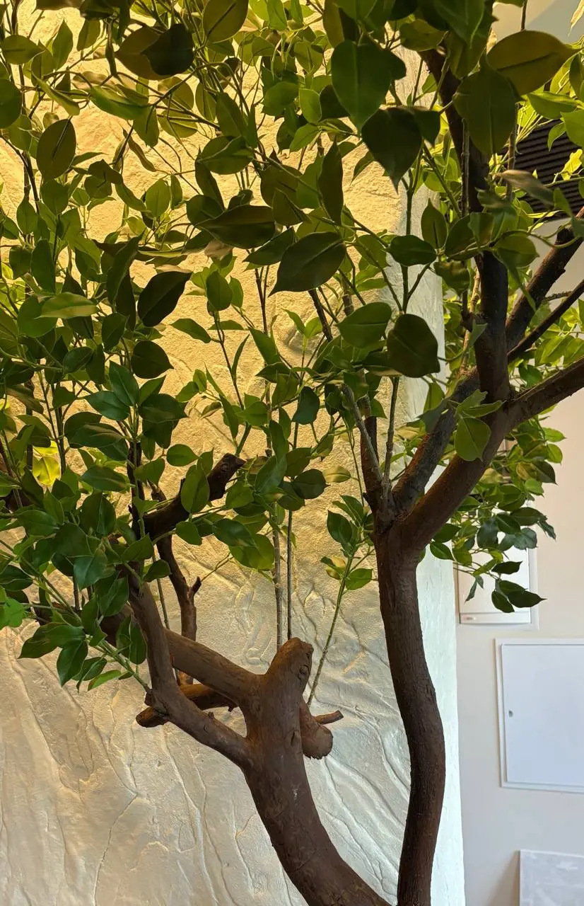 Заголовок: Идеальный сад без ухода: где в загородном доме "поселить" искусственное дерево? 🌳🏡
Многие думают, что искусственные растения — это пыльные букеты из 90-х или неубедительный пластик | Сетка — социальная сеть от hh.ru