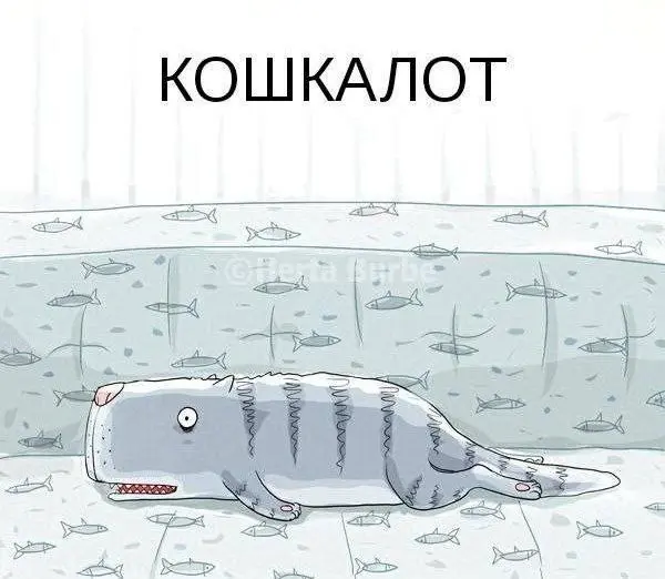Новая порода 😂😂
#Юмор@poldner #Коты@poldner | Сетка — социальная сеть от hh.ru