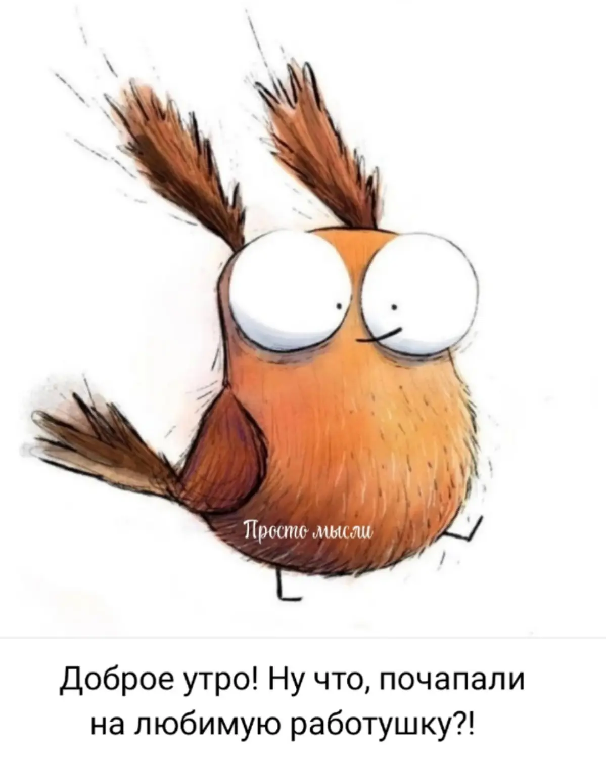 Всем бодрого 😊 | Сетка — социальная сеть от hh.ru