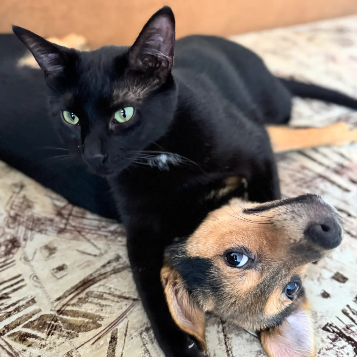 ПоТРеНиРоВаТь СТРеССоуСТоЙЧиВоСТь | Сетка — социальная сеть от hh.ru