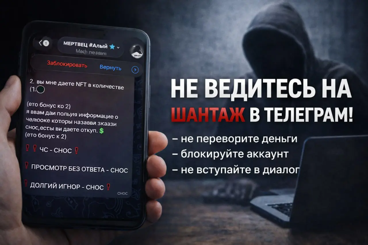 Недавно мне пришло сообщение в личные сообщения в телеграм от неизвестного аккаунта.
Человек написал, что у меня есть немного времени, чтобы «решить вопрос» | Сетка — социальная сеть от hh.ru