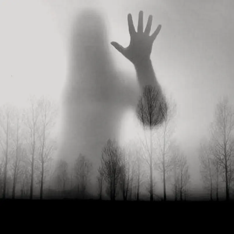 Наталья Зайцева