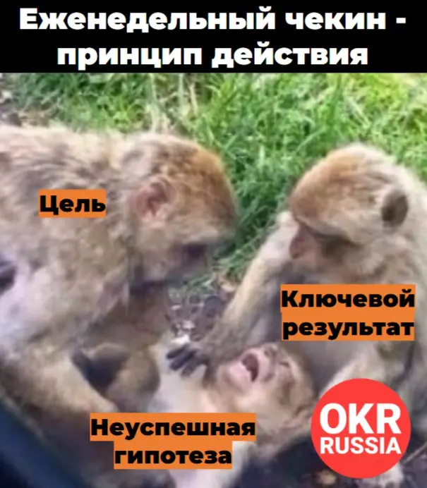 #okr #okrrussia #memes #мемы #юмор
OKR Russia: Telegram | MAX | Сетка.
В этом посте были ссылки, но мы их удалили по правилам Сетки | Сетка — социальная сеть от hh.ru