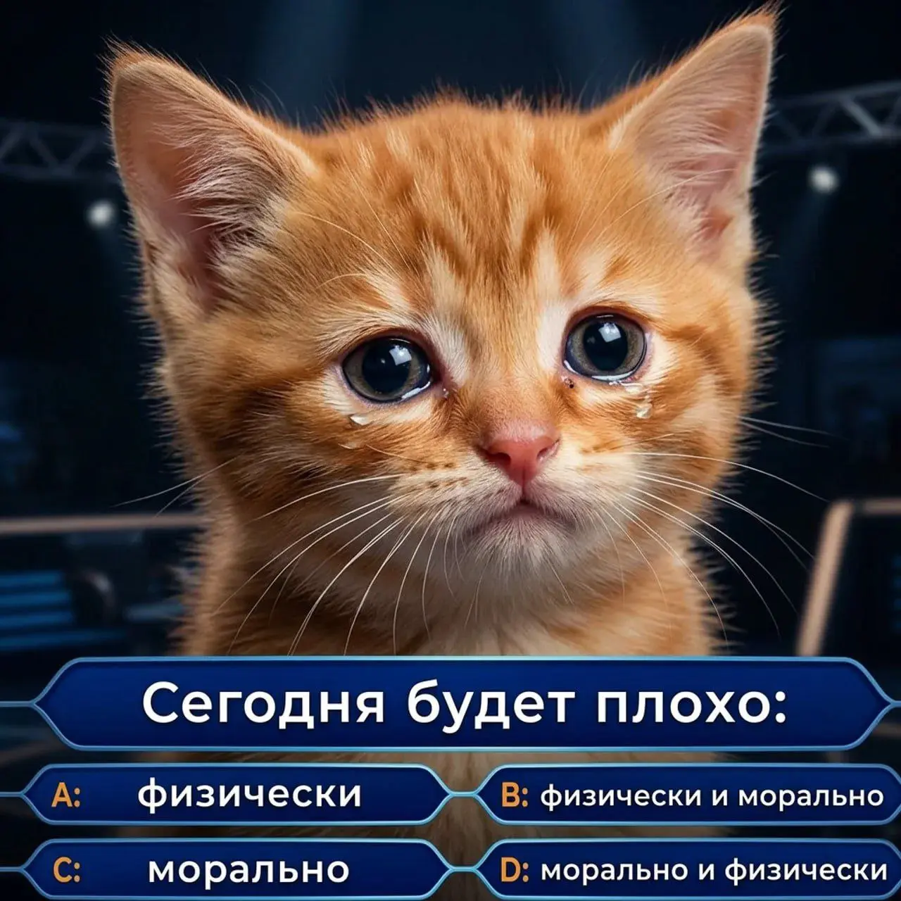Планы на день | Сетка — социальная сеть от hh.ru