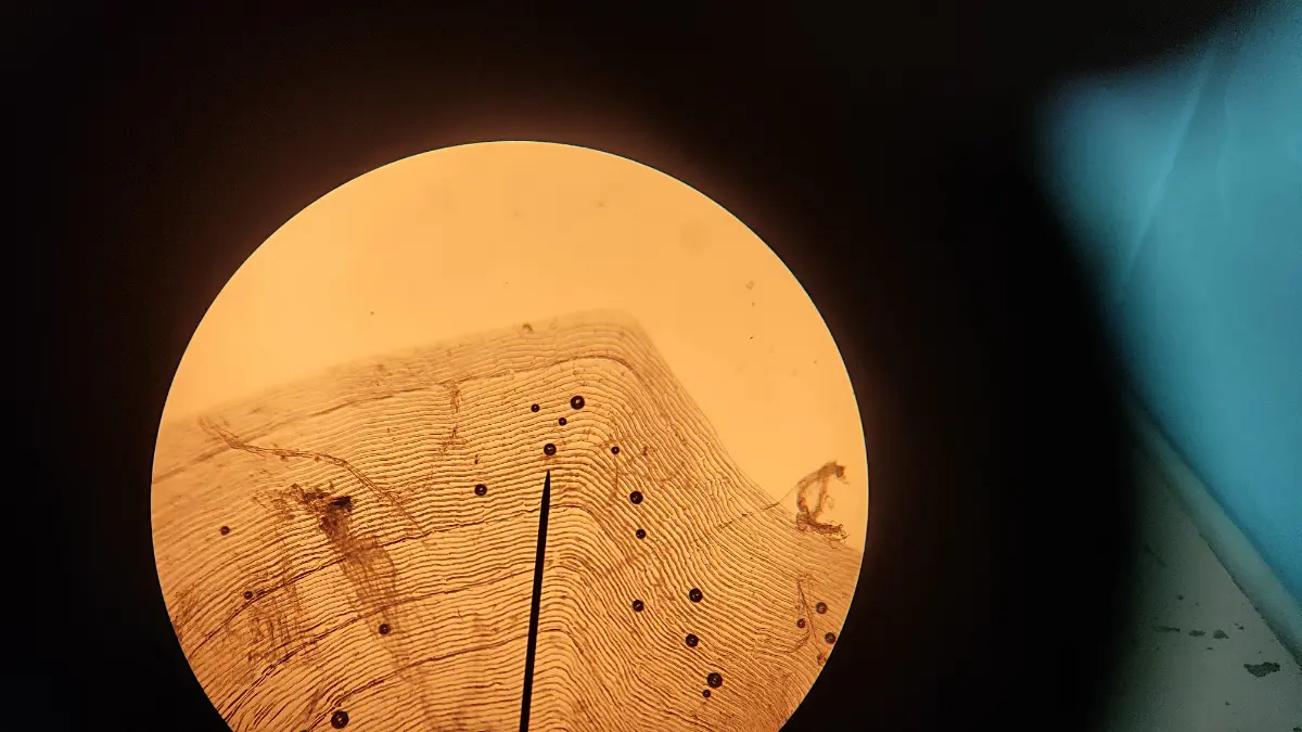 Безумный март случился со мной. | Сетка — социальная сеть от hh.ru