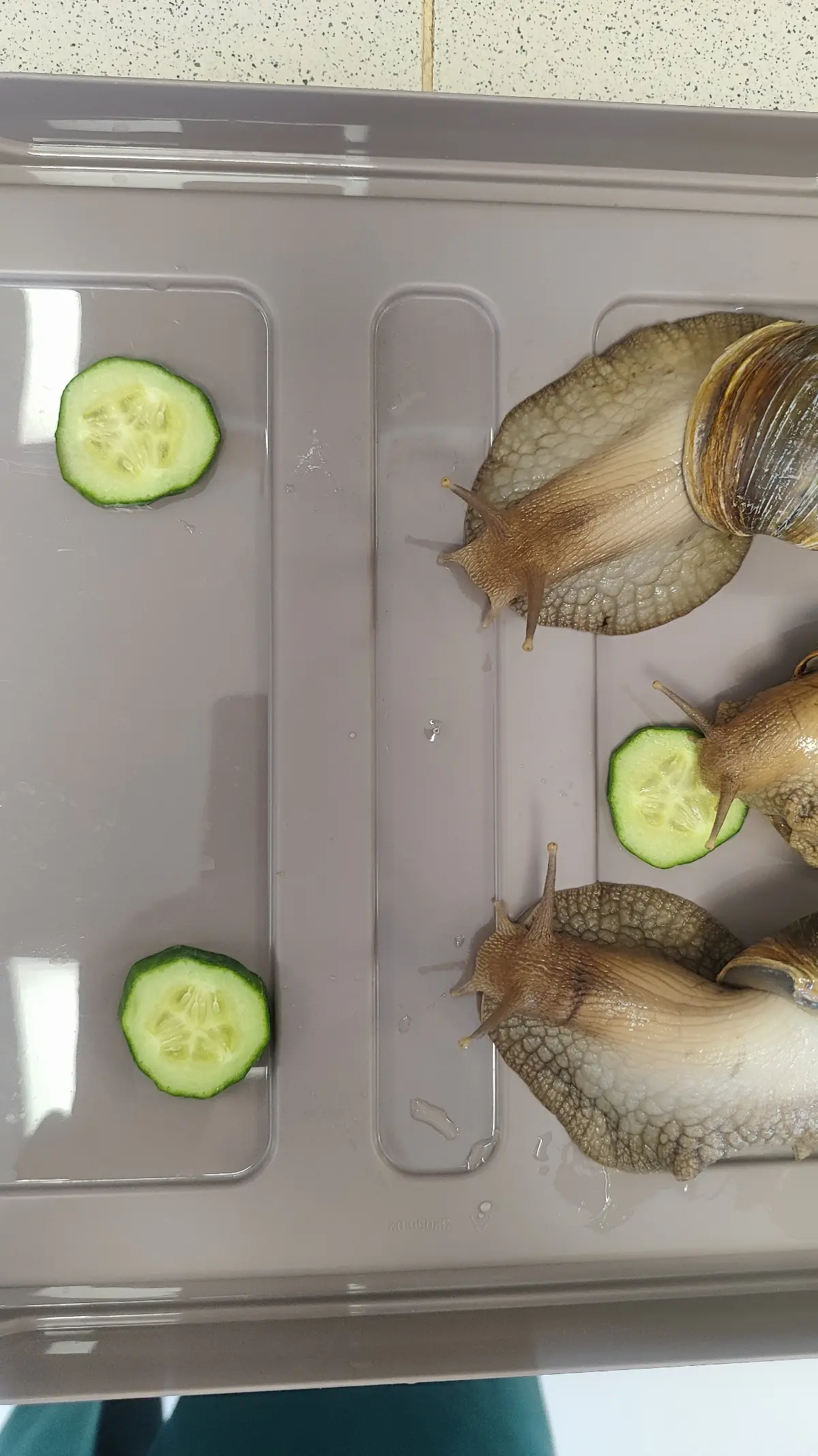 Безумный март случился со мной. | Сетка — социальная сеть от hh.ru