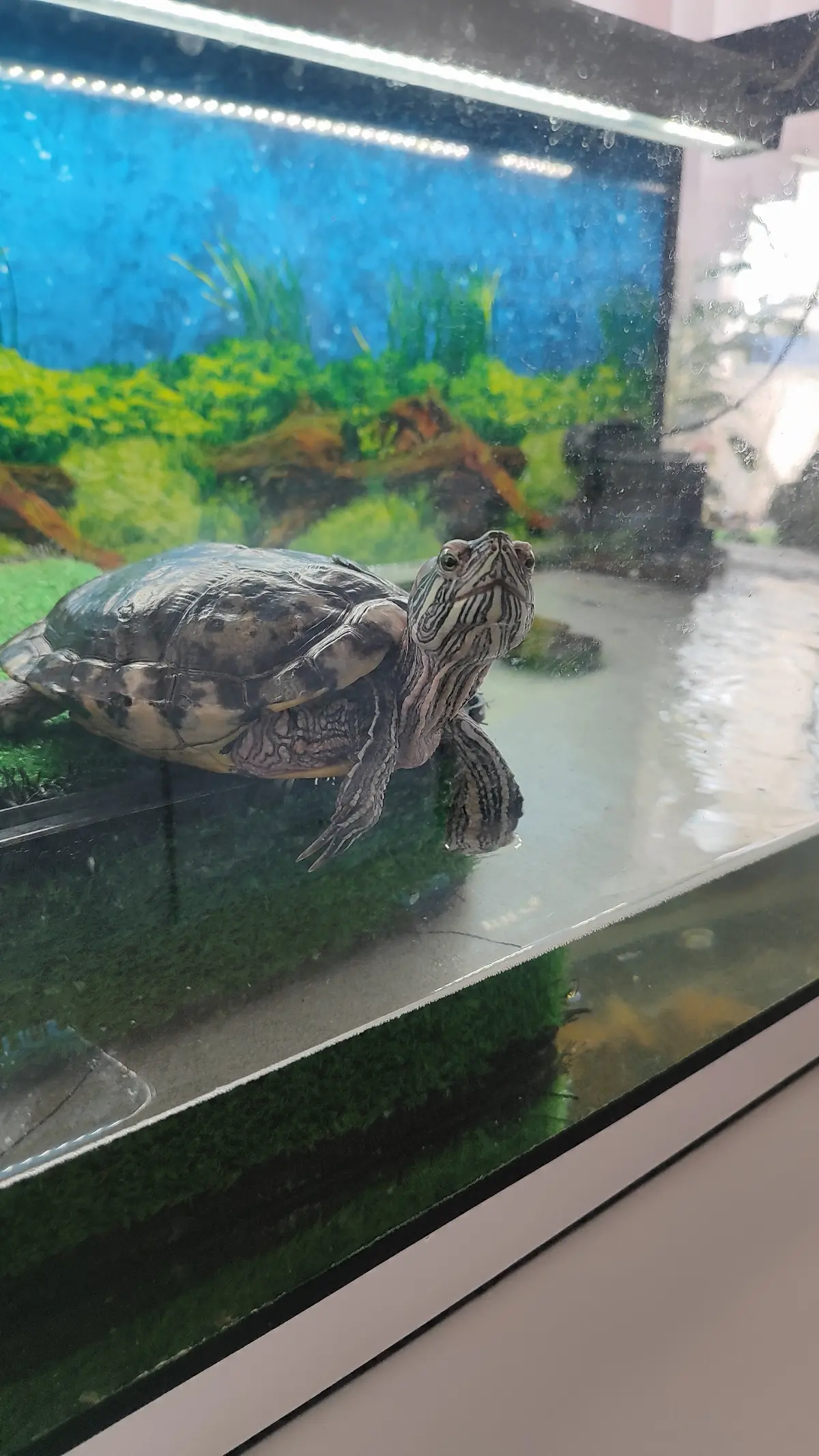 Безумный март случился со мной. | Сетка — социальная сеть от hh.ru