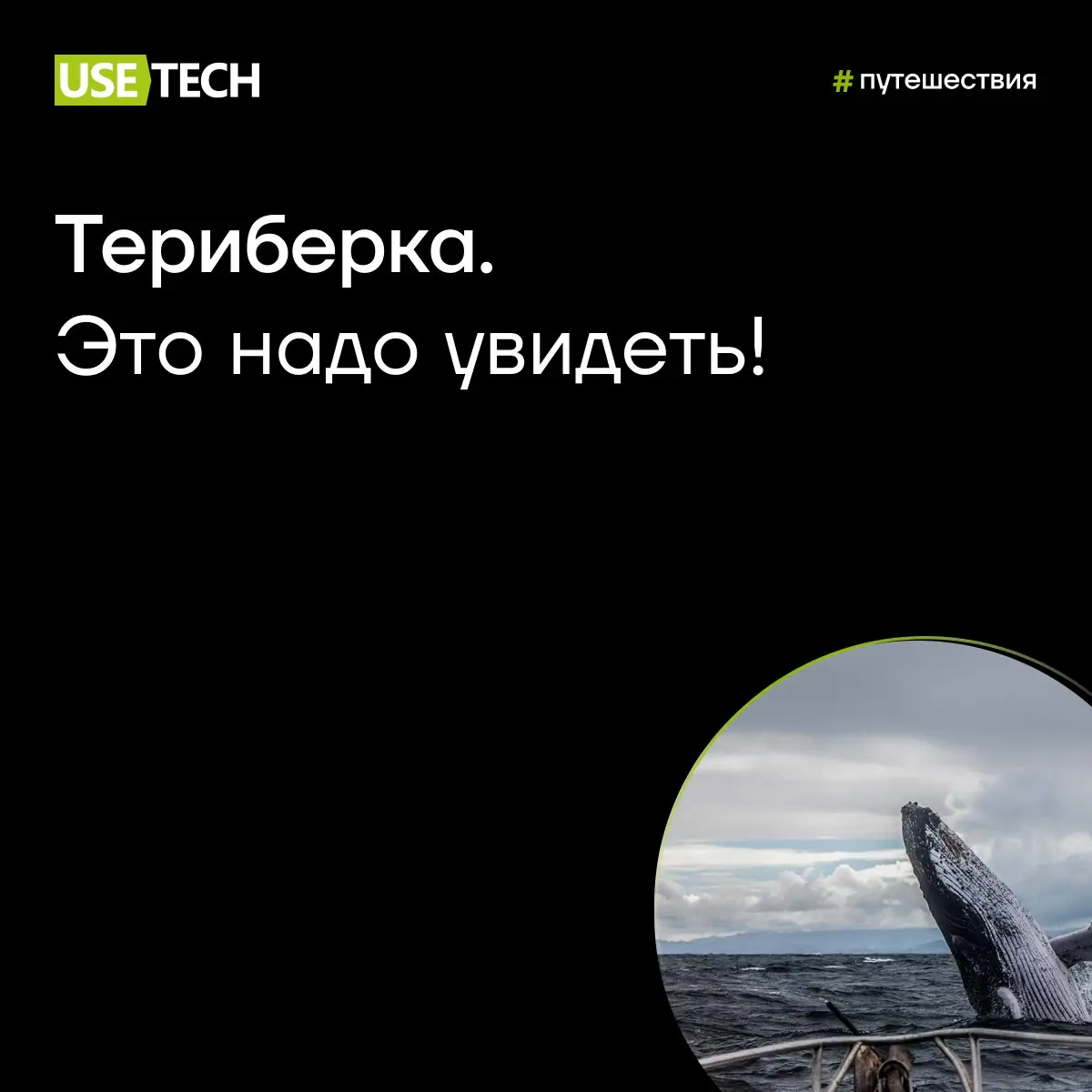 Если у вас есть непреодолимое желание всё бросить и уехать, но при этом ничего не бросать — предлагаем рассмотреть край земли, где начинается Северный Ледовитый океан | Сетка — социальная сеть от hh.ru
