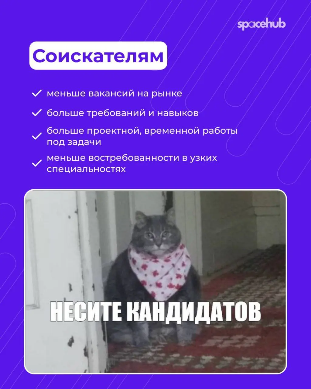 Труженики! 🐝
Продолжаем говорить о микрокомандах!
С 2025 года всё больше компаний переходят от больших отделов к небольшим автономным командам | Сетка — социальная сеть от hh.ru