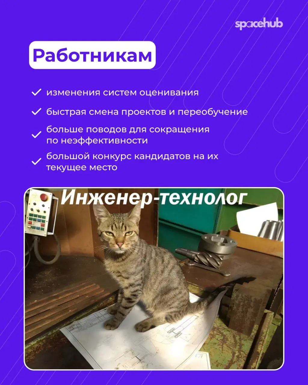 Труженики! 🐝
Продолжаем говорить о микрокомандах!
С 2025 года всё больше компаний переходят от больших отделов к небольшим автономным командам | Сетка — социальная сеть от hh.ru