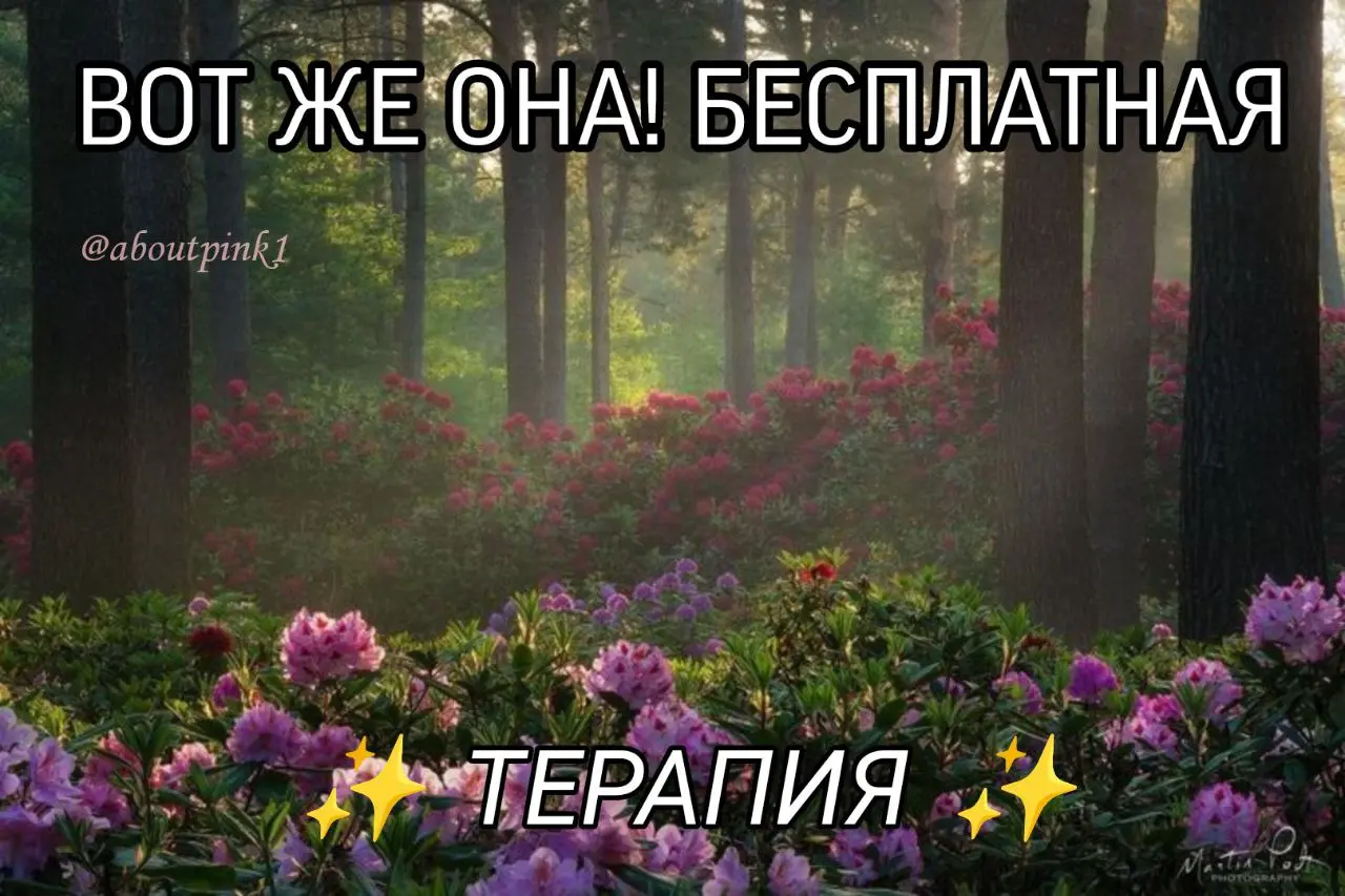 🆘 Бесплатная психологическая помощь ⭐️ существует ли она?
Помните, раньше в школах везде висели флаеры с анонимными номерами доверия?
Как ни странно, но в детстве я мечтала туда позвонить и узнать, чт... | Сетка — социальная сеть от hh.ru