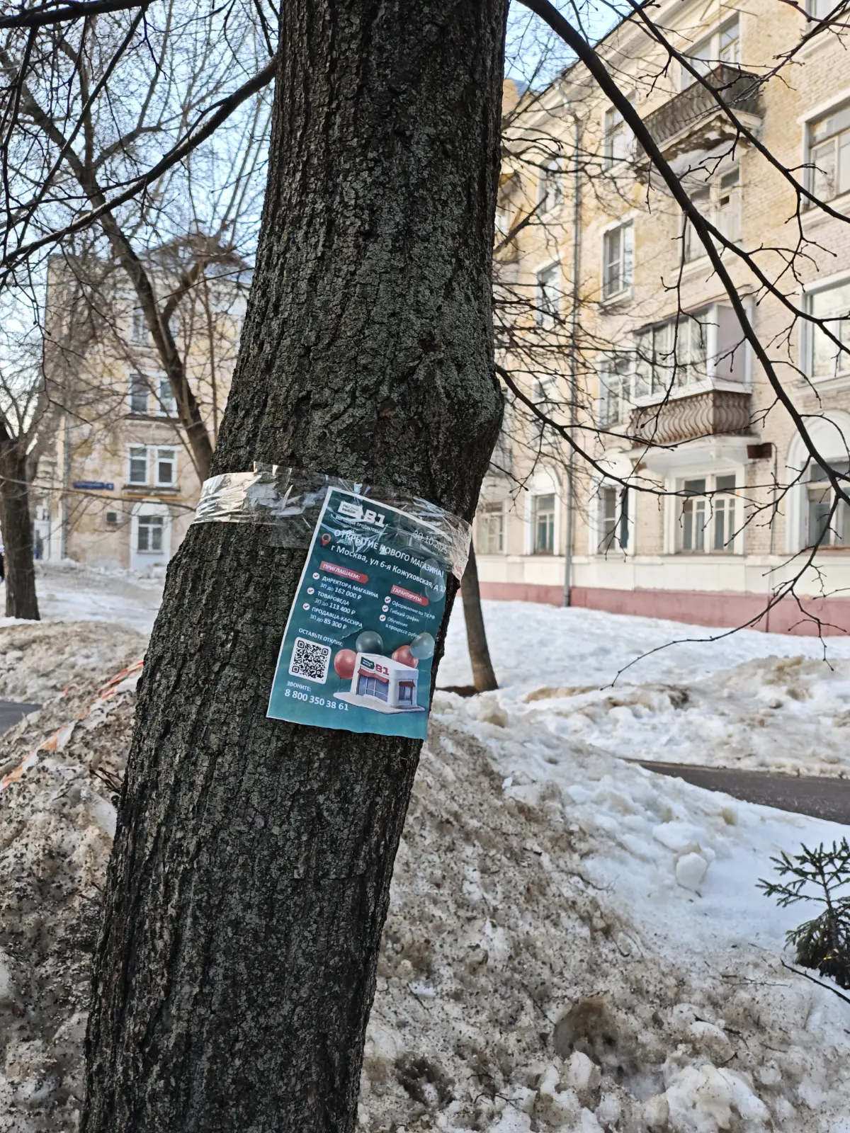 Рекламный креатив в Москве | Сетка — социальная сеть от hh.ru