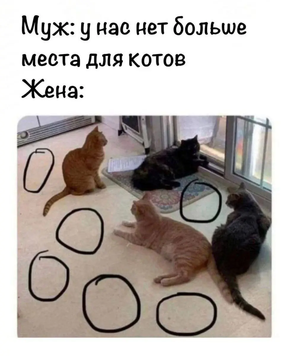 А если найду?) 😂
От любимого клиента Александра ❤️
#Юмор@poldner #Коты@poldner | Сетка — социальная сеть от hh.ru