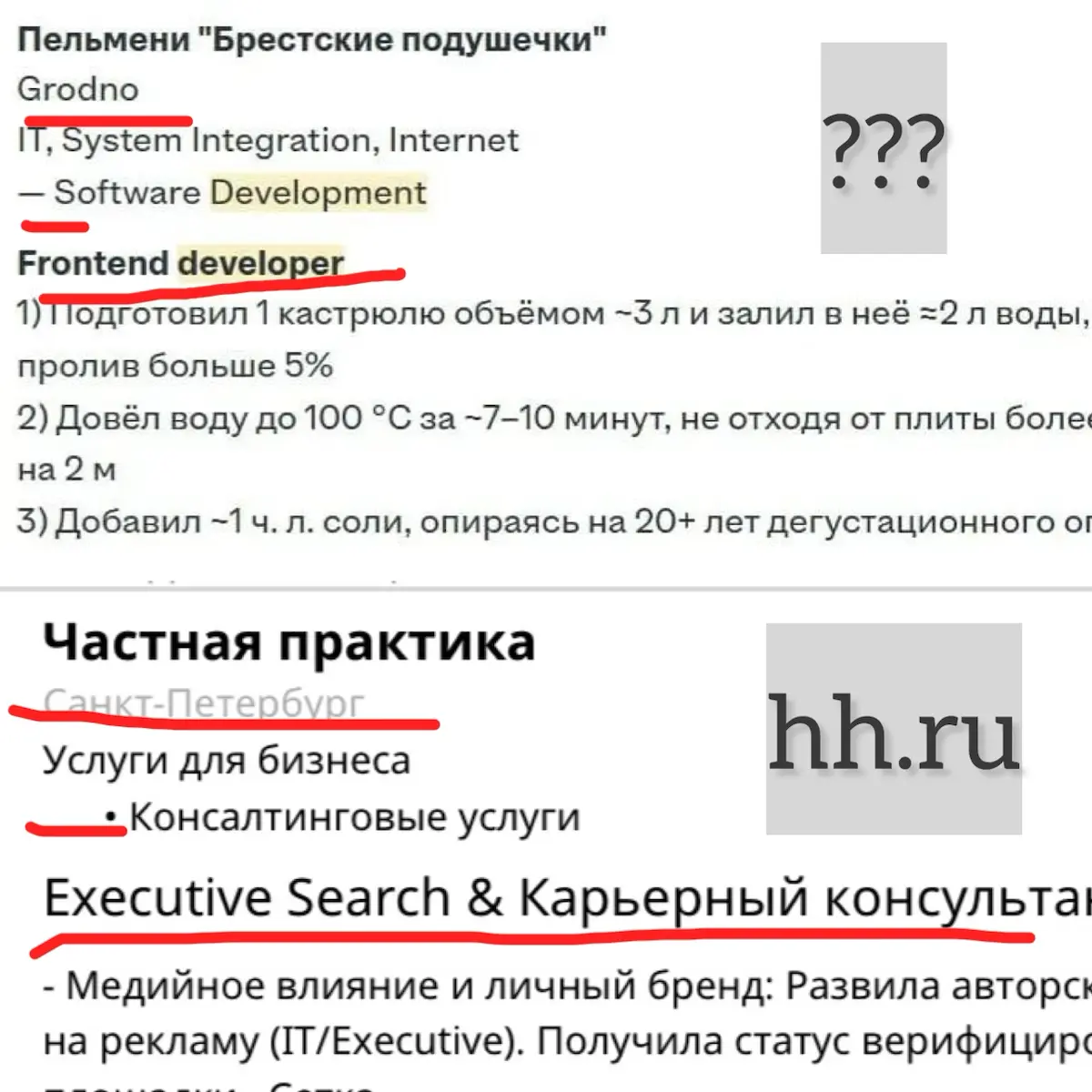 Резюме с пельменями - фейк (я узнала лично у ТОПов hh) | Сетка — социальная сеть от hh.ru