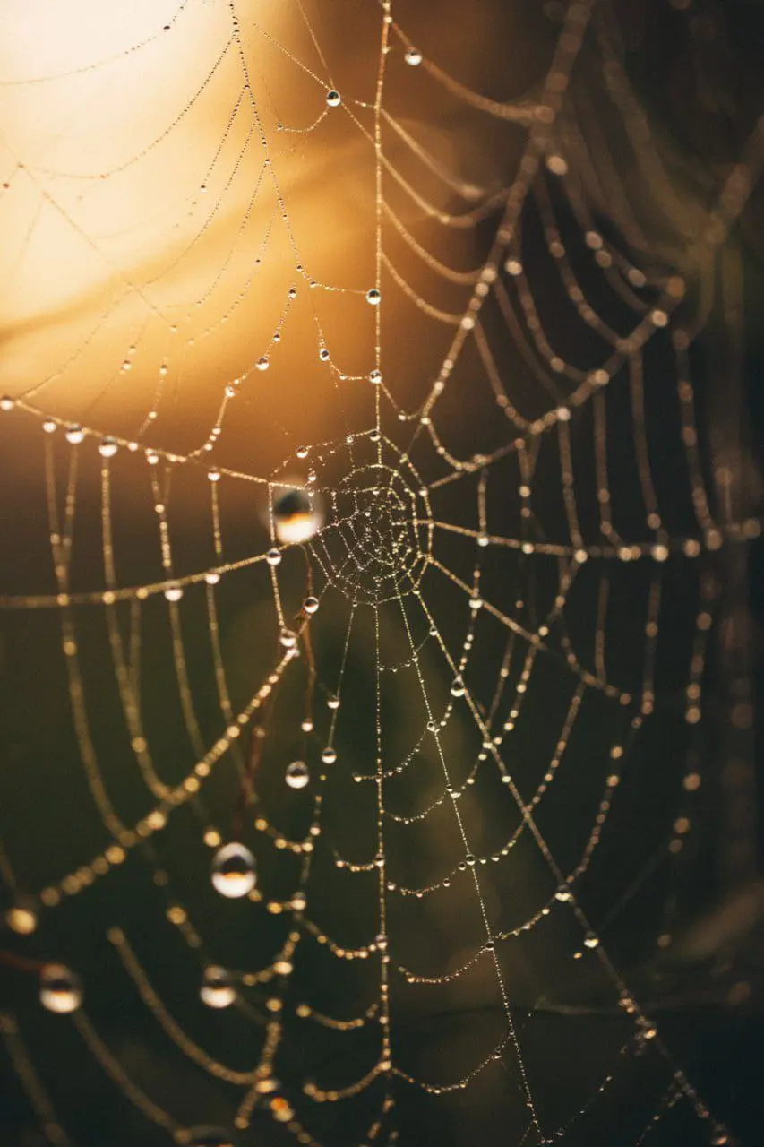 😭ЖДАЛИ КРАСОТУ, ПОЛУЧИЛИ ХЗ
Midjourney выкатили V8 — и это не апгрейд, а американские горки: где-то взлетаешь, где-то падаешь 🎢
Что реально круто?
• 🚀 Скорость × 5: генерация летает так, что не успева... | Сетка — социальная сеть от hh.ru