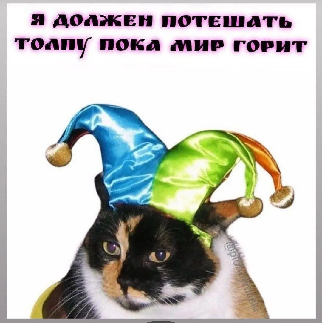 Как будет жить контент-маркетинг? | Сетка — социальная сеть от hh.ru