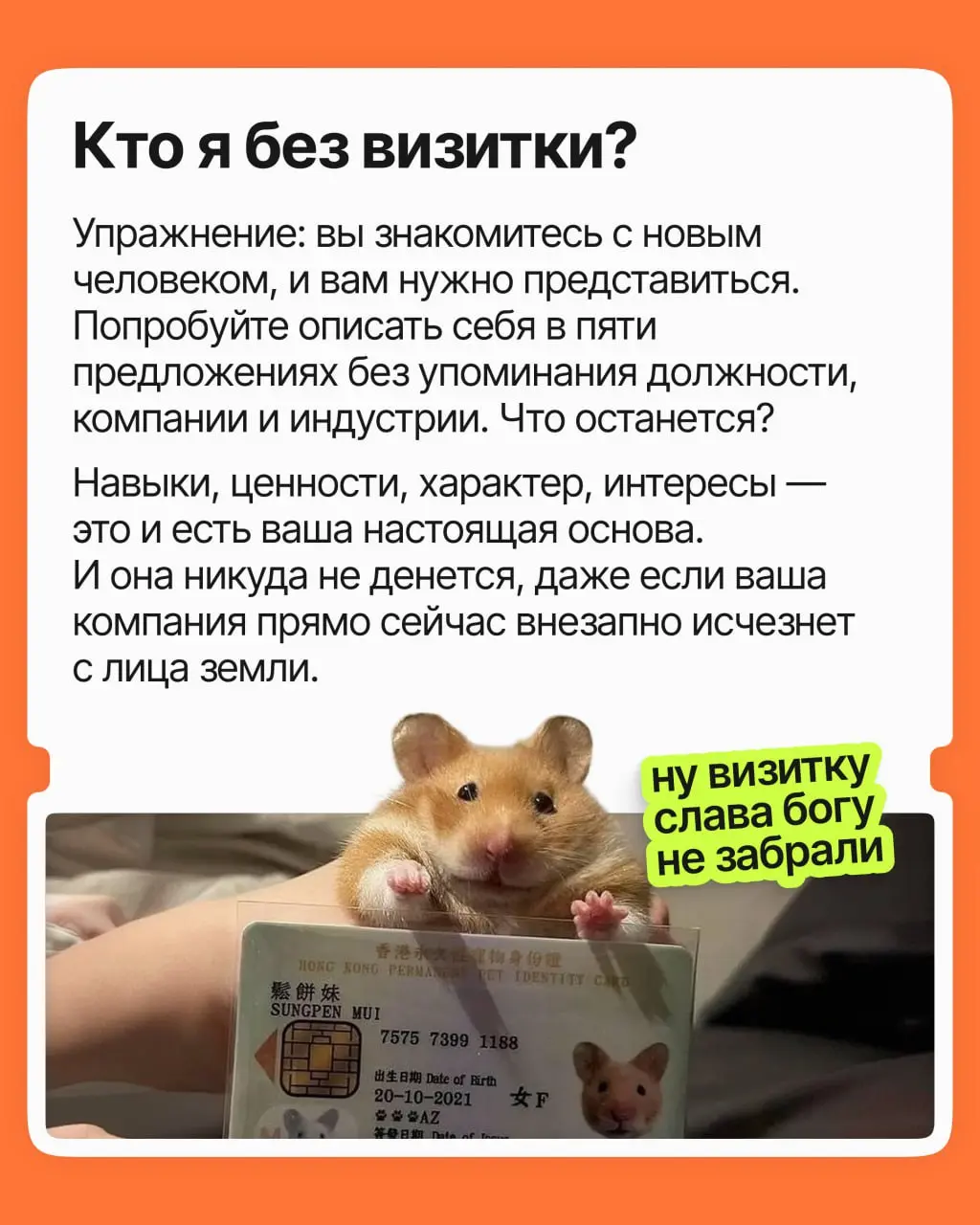 Существую ли я без моей работы? | Сетка — социальная сеть от hh.ru