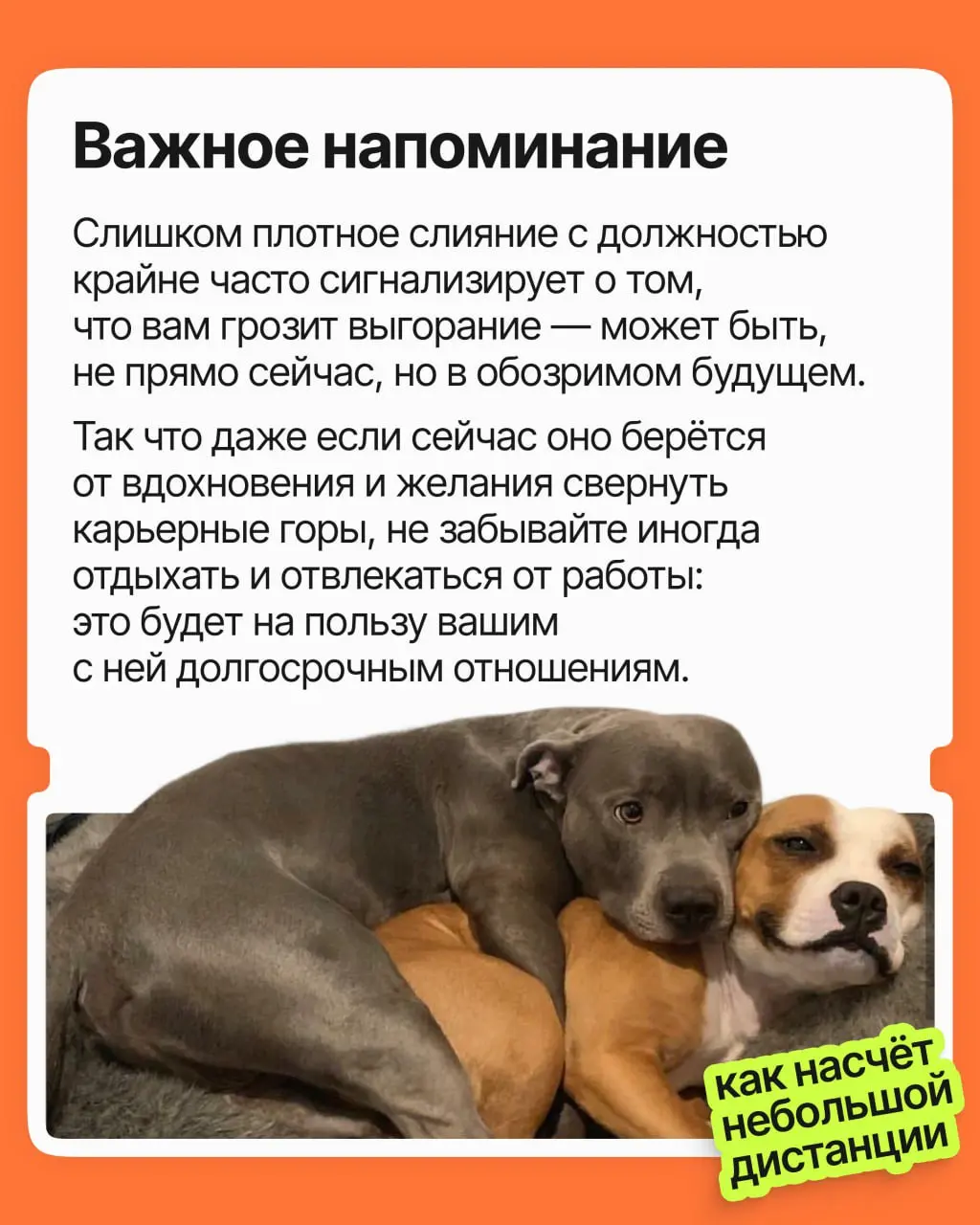 Существую ли я без моей работы? | Сетка — социальная сеть от hh.ru