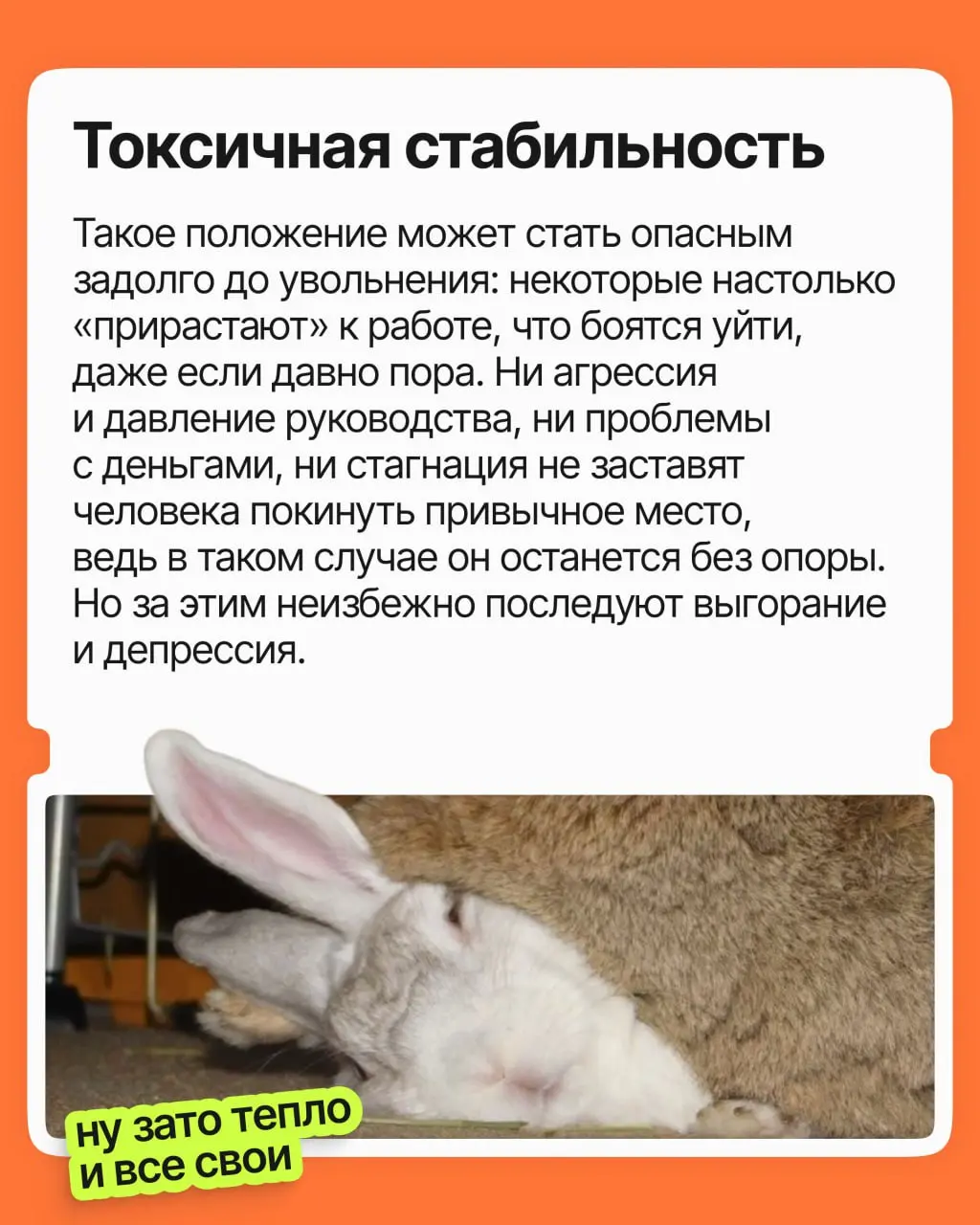 Существую ли я без моей работы? | Сетка — социальная сеть от hh.ru
