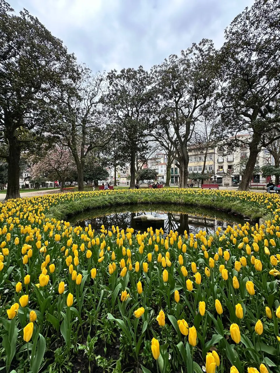 Следуй за мечтой | Сетка — социальная сеть от hh.ru