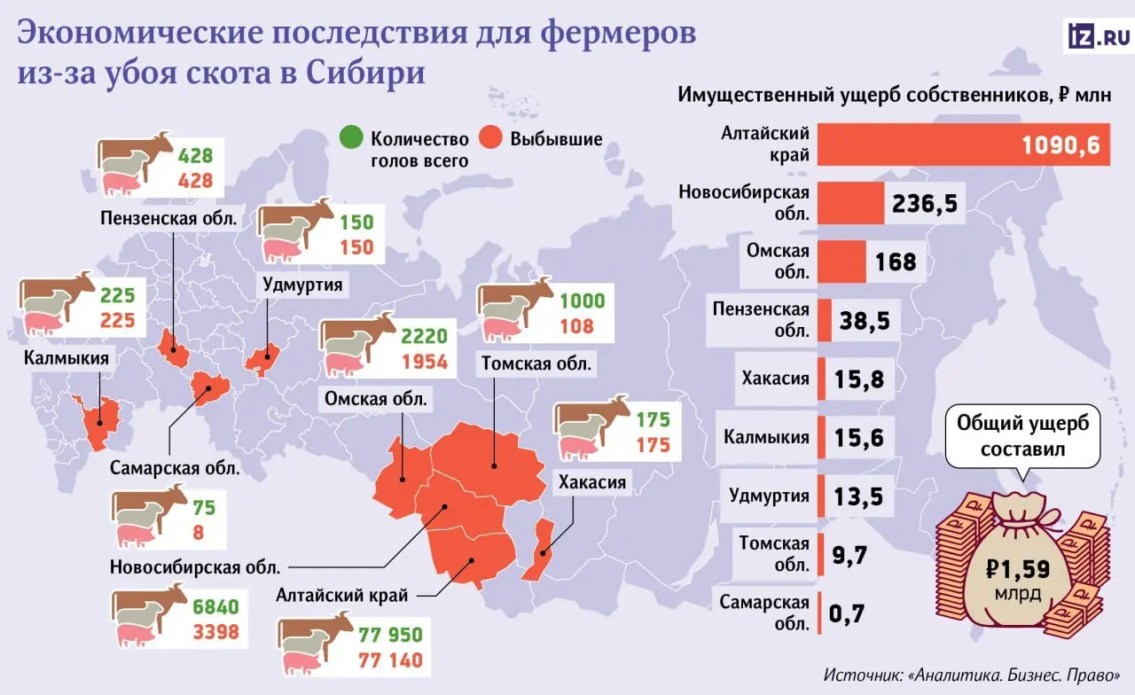 Ущерб от массового убоя скота в Сибири превысил 1,5 млрд рублей. Ещё около 368 млн рублей — непокрытые потери фермеров и личных хозяйств. Под карантин и ликвидацию уже попали более 90 тысяч животных | Сетка — социальная сеть от hh.ru