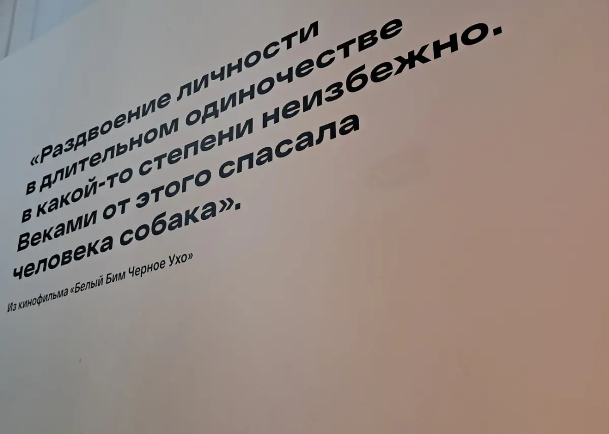 Посетила второй день фестиваля (5-тый, юбилейный) Original+ контента стриминговых платформ. Как новорожденному продюсеру, мне это было интересно.
Фестивал прохолит в Москве, на киностудии им | Сетка — социальная сеть от hh.ru