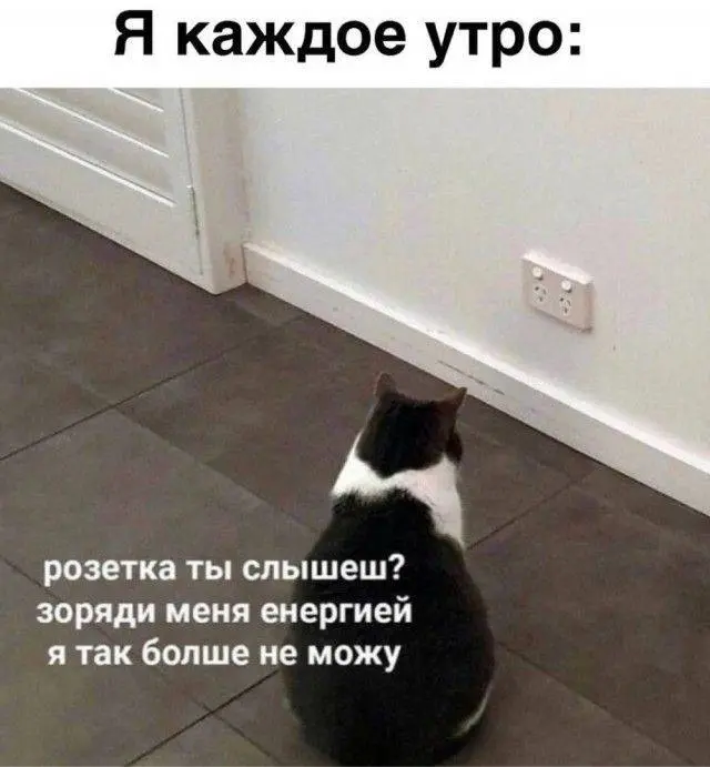 Столько мемов про работу, которая бесит, каждый второй живет от выходных до выходных, избегает тему «Работа»🫠
Бывает, что любимая работа превращается в болото | Сетка — социальная сеть от hh.ru