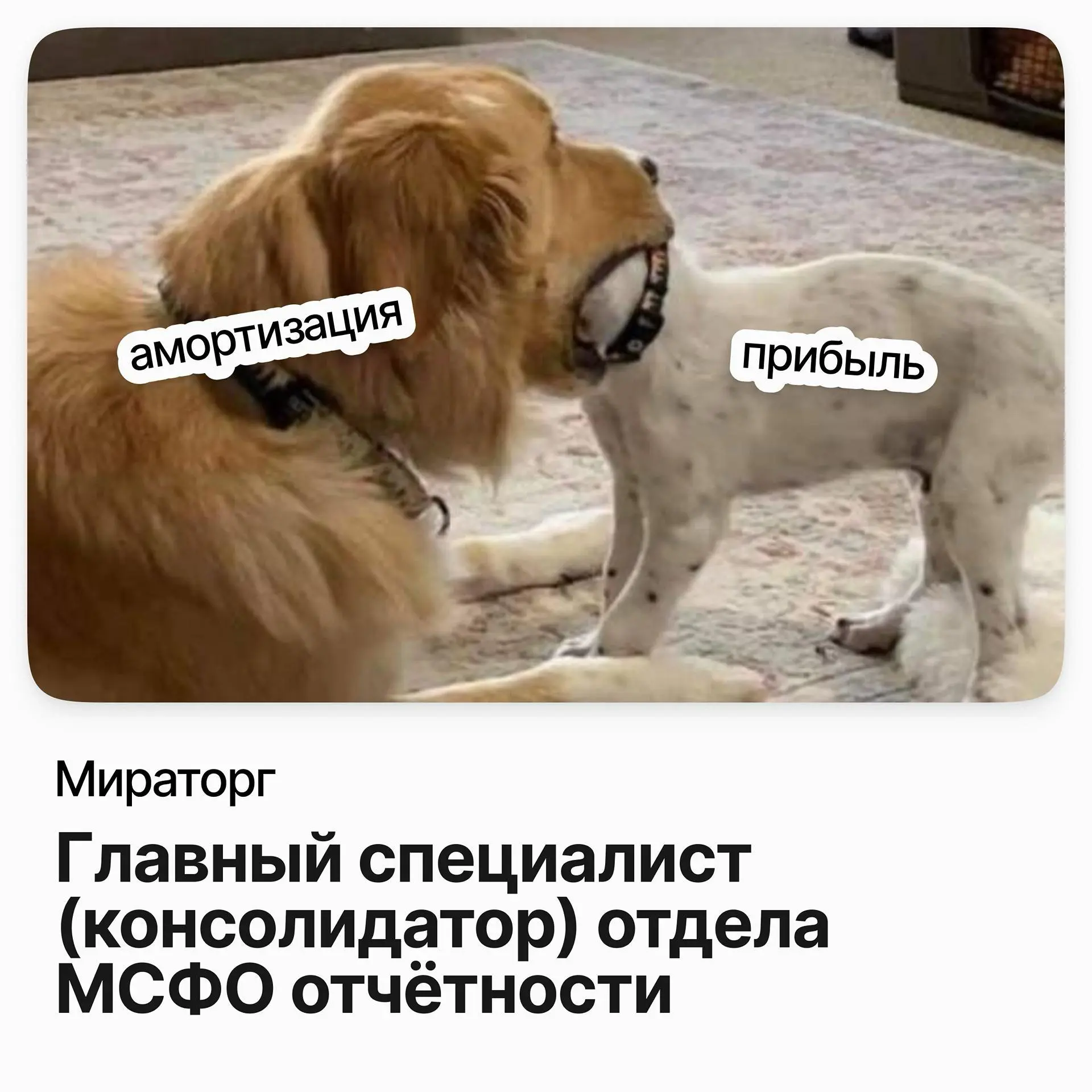 Главный специалист МСФО / Мираторг | Сетка — социальная сеть от hh.ru