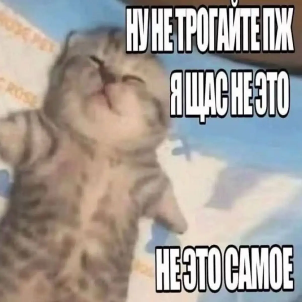 Дарья Зверева
