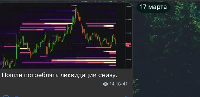 По метрикам уже тогда было видно, что рынок слабеет и вероятность движения вниз растёт.
И по факту – сходили ниже $70 000 и собрали всю ликвидность. | Сетка — социальная сеть от hh.ru