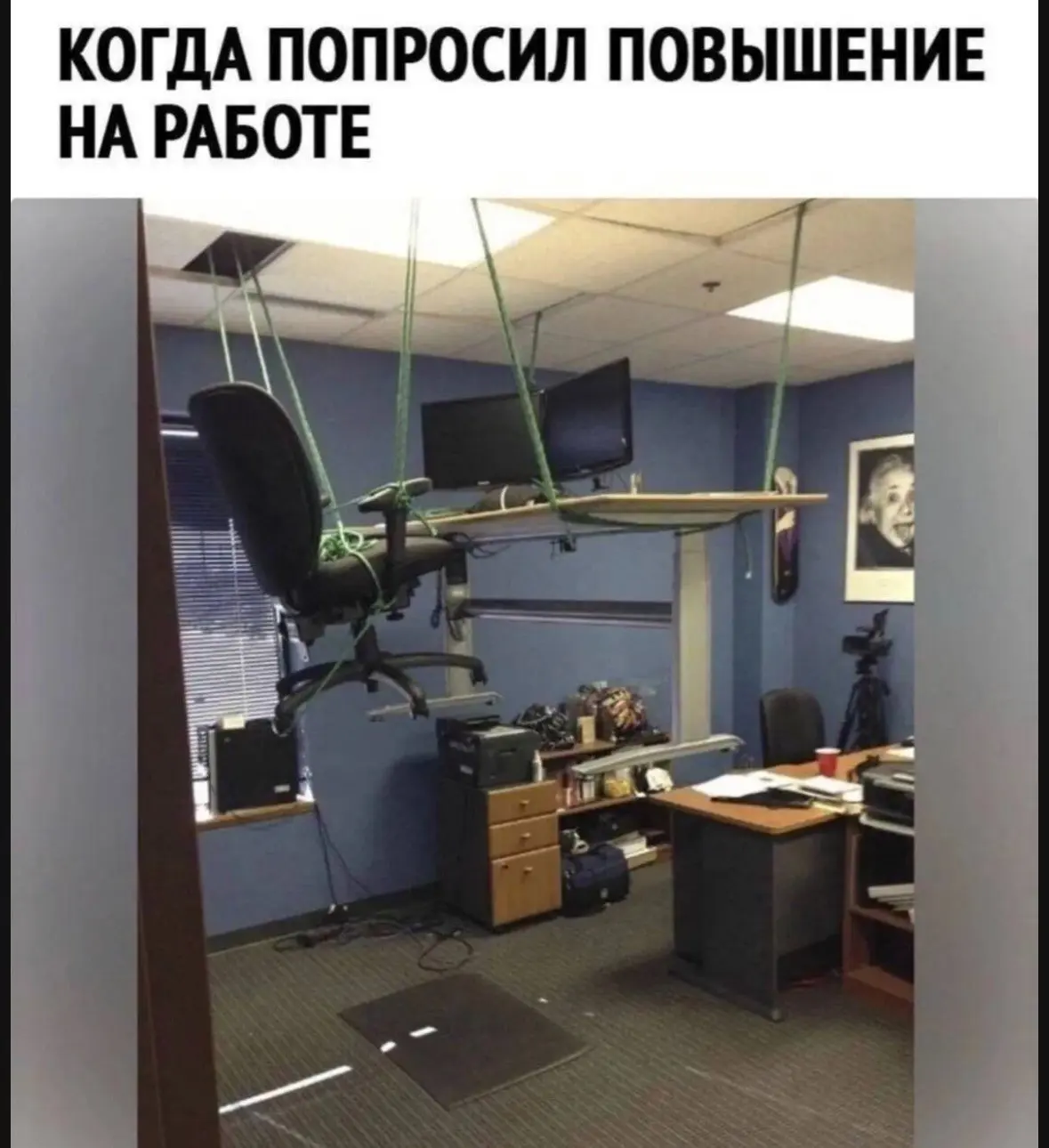 Выживут только... | Сетка — социальная сеть от hh.ru