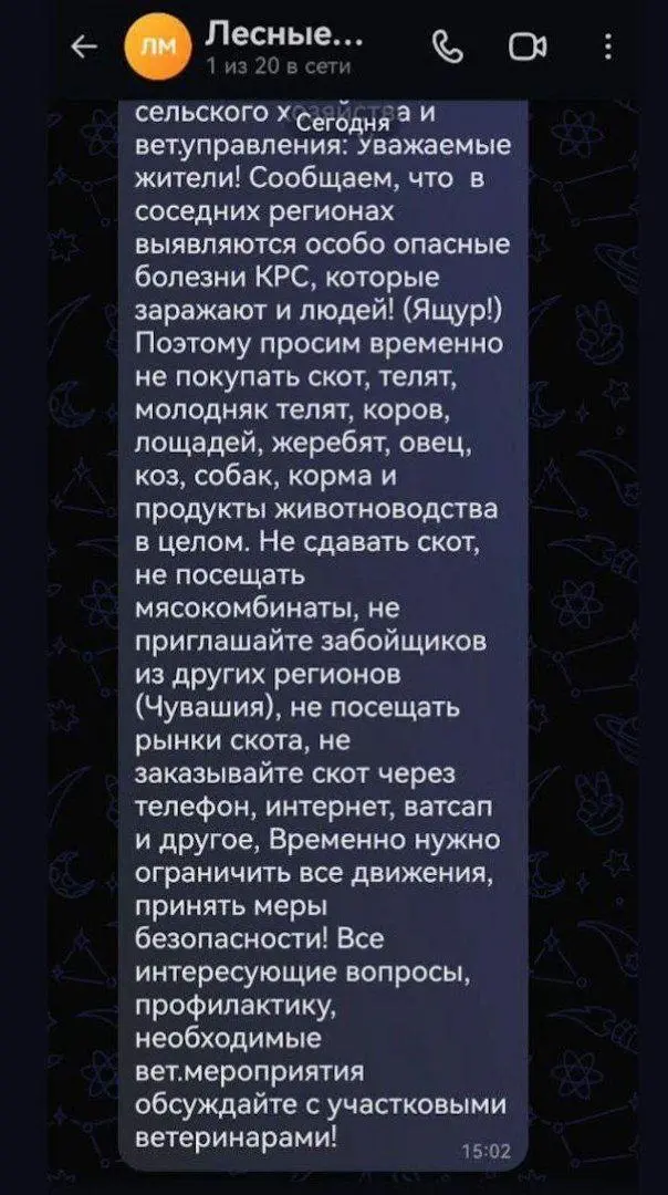 В российских регионах начали вводить ограничения на покупку мяса и скота из-за вспышек инфекций | Сетка — социальная сеть от hh.ru