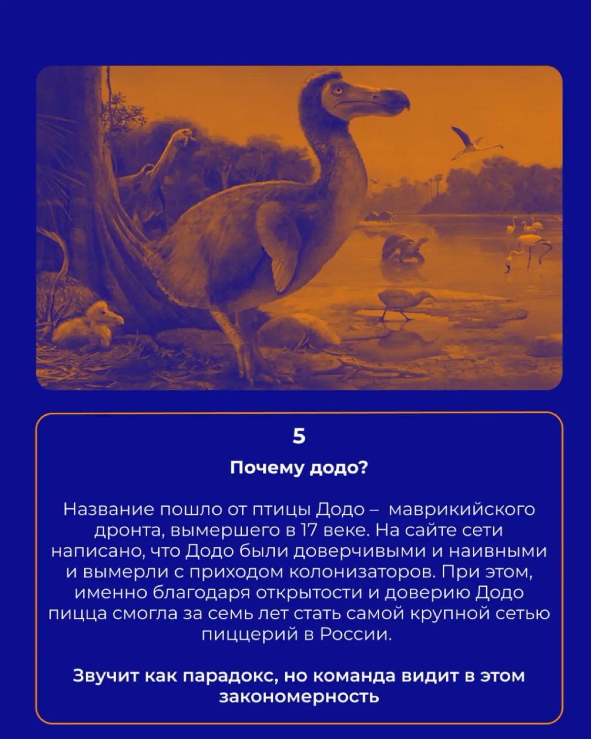 Додо птица или пицца 🍕 | Сетка — социальная сеть от hh.ru
