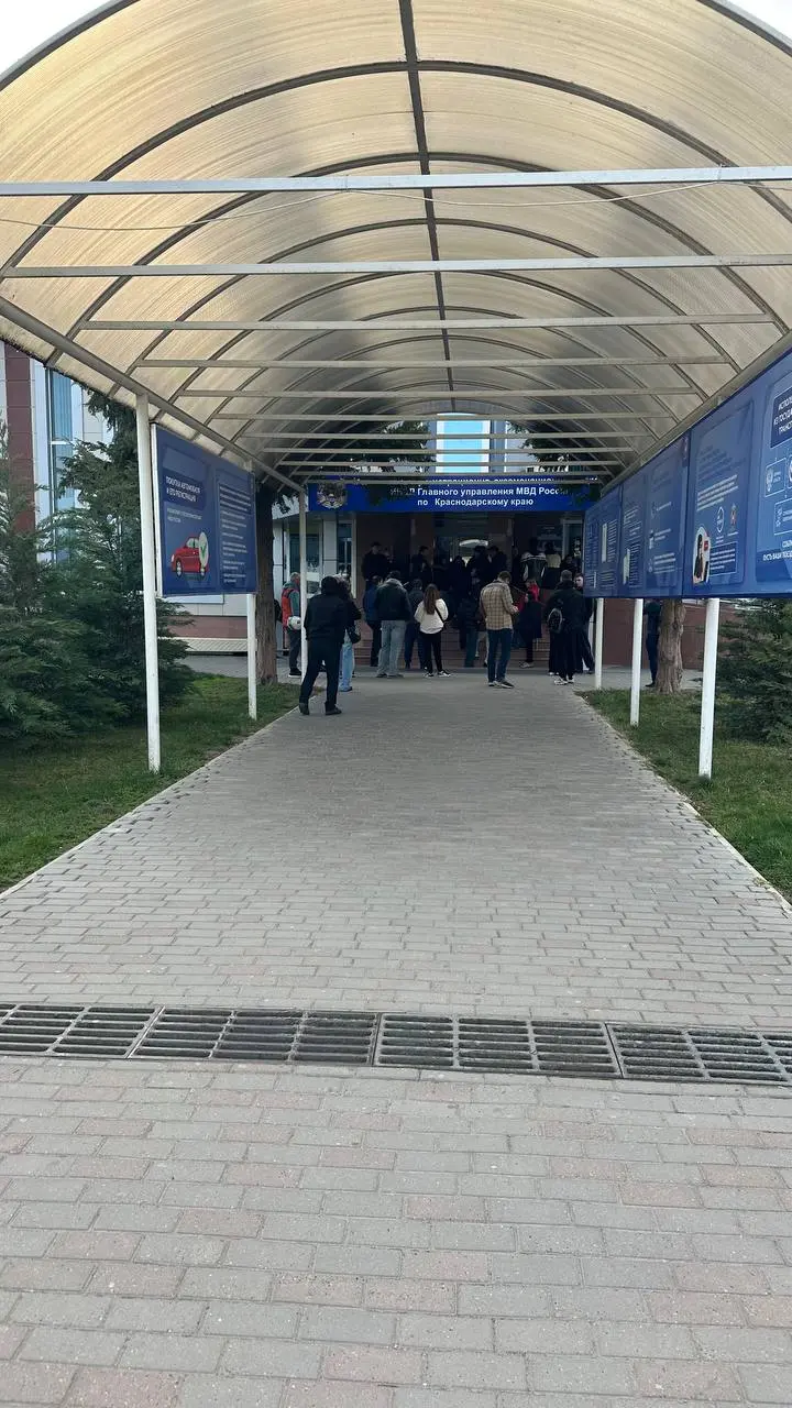 Спустя 6 часов в ГАИ сдала теорию вождения, принимаю поздравления🥳 | Сетка — социальная сеть от hh.ru