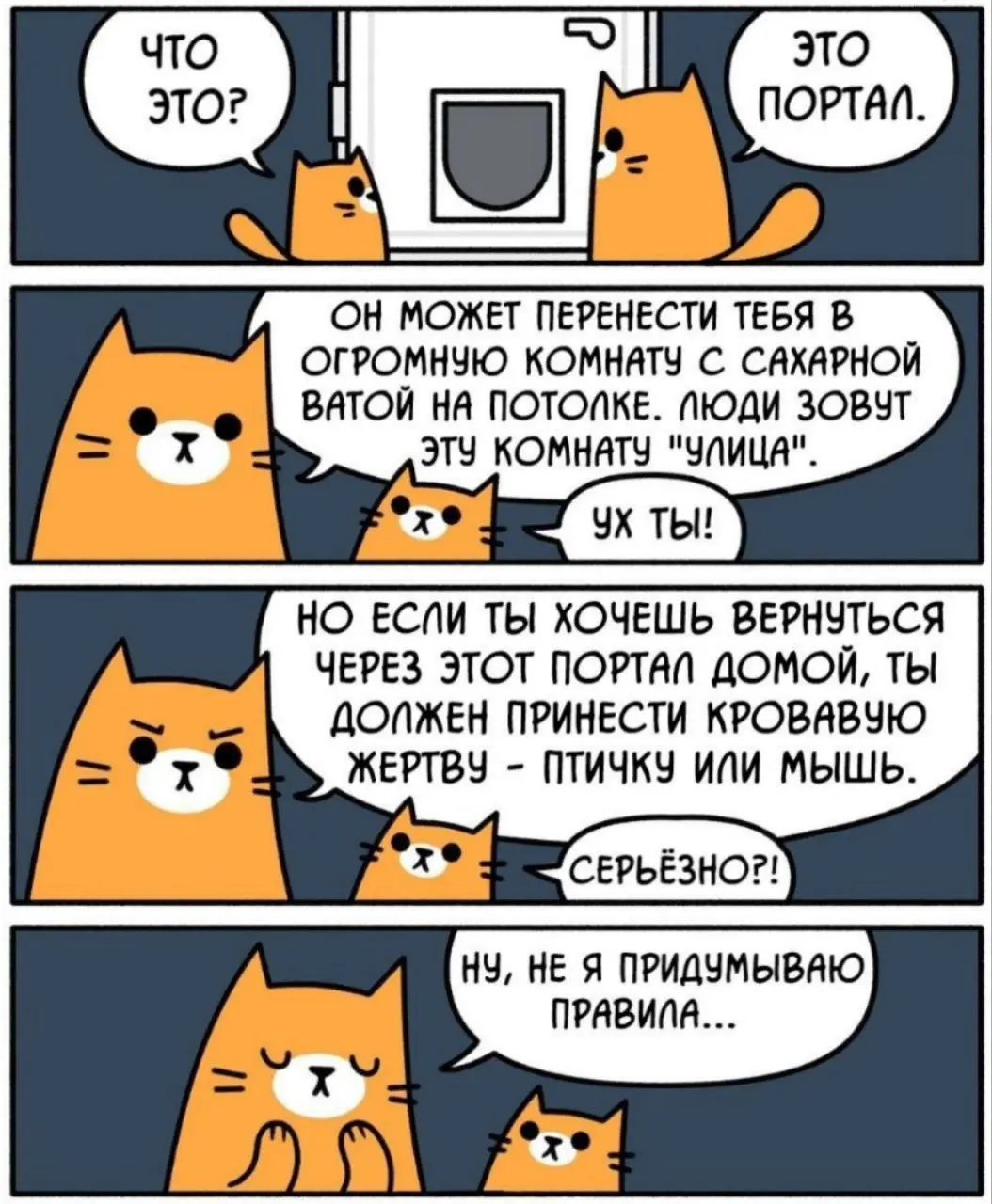 Методология 😂
#Юмор@poldner #Коты@poldner | Сетка — социальная сеть от hh.ru