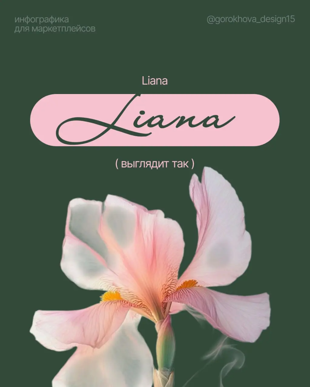 ВЕСЕННИЕ ШРИФТЫ 🌷
Весна — это про лёгкость, обновление и свежие идеи 💗 Самое время добавить это настроение и в свои дизайны!
Собрала для вас подборку красивых весенних шрифтов с поддержкой кириллицы —... | Сетка — социальная сеть от hh.ru