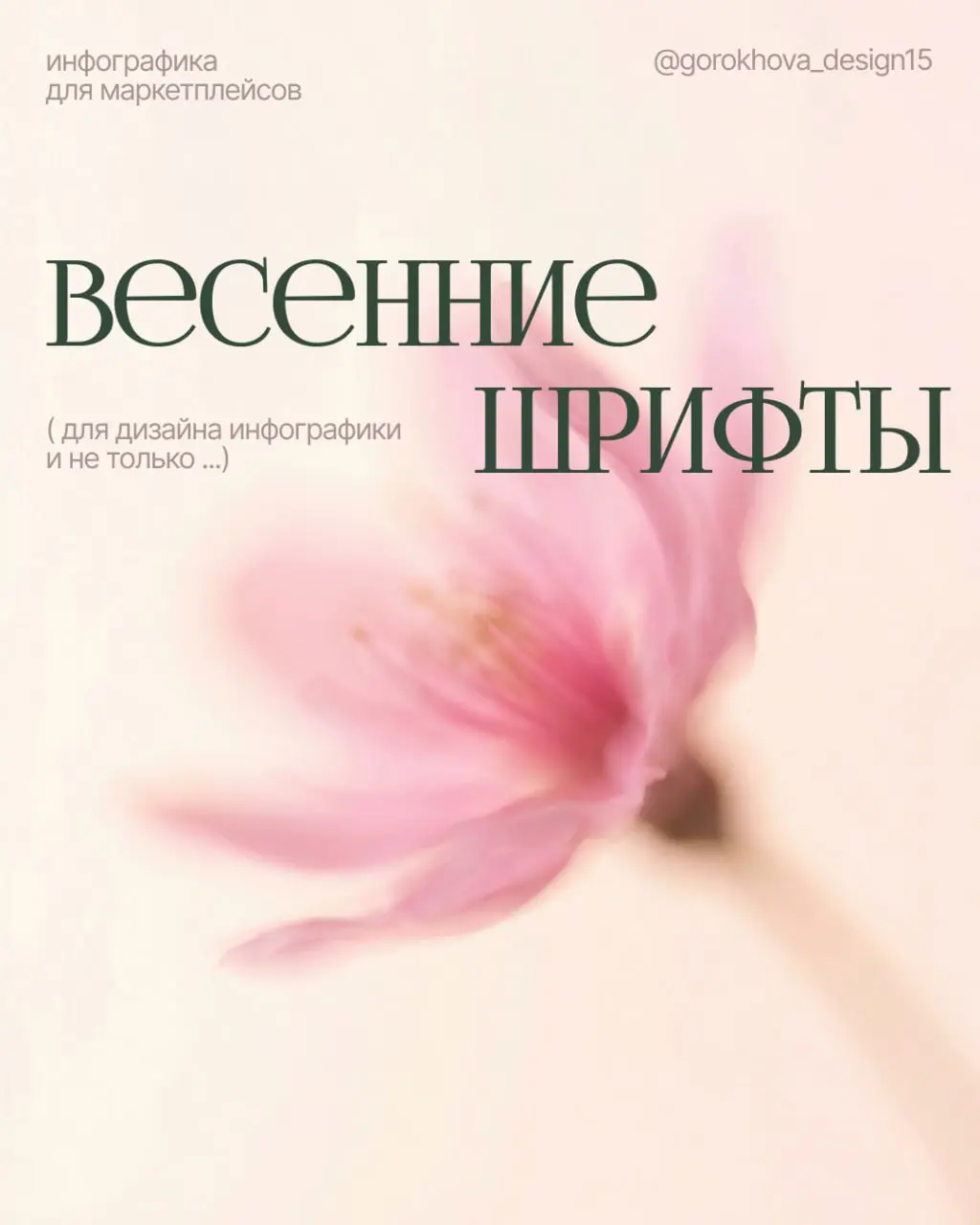 ВЕСЕННИЕ ШРИФТЫ 🌷
Весна — это про лёгкость, обновление и свежие идеи 💗 Самое время добавить это настроение и в свои дизайны!
Собрала для вас подборку красивых весенних шрифтов с поддержкой кириллицы —... | Сетка — социальная сеть от hh.ru