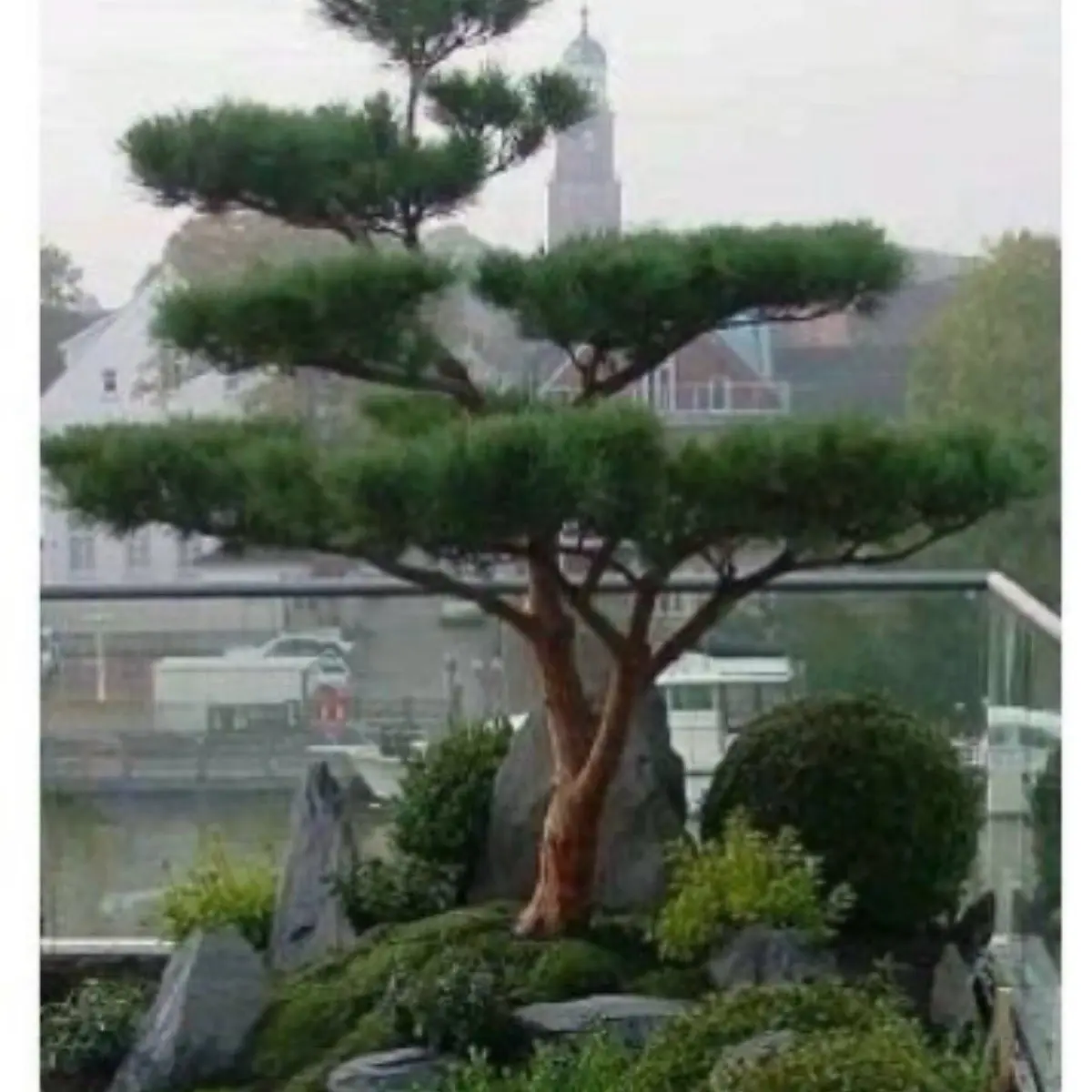 Наталья Боровикова | Сетка — социальная сеть от hh.ru