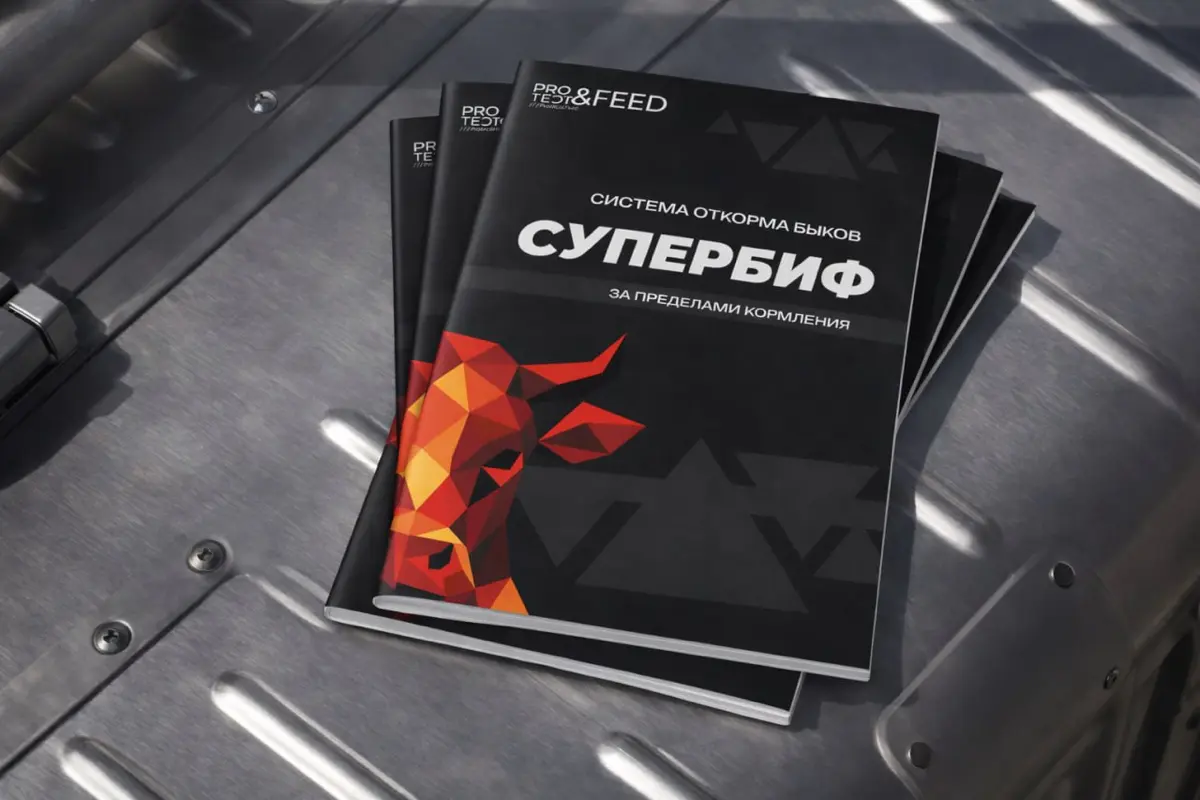 Рекламные материалы для Protect&Feed | Сетка — социальная сеть от hh.ru