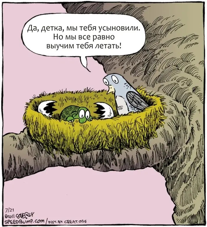 Дева в беде: как не ехать кукухой в процессе поиска работы | Сетка — социальная сеть от hh.ru