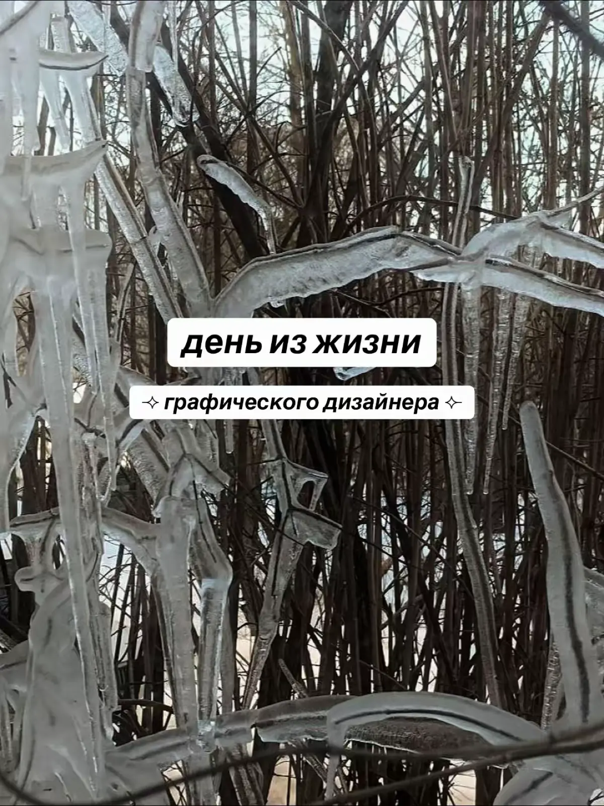 📸 день из жизни дизайнера | Сетка — социальная сеть от hh.ru