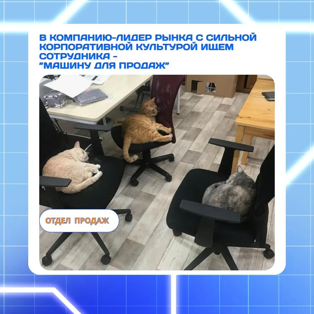 Ложь в каждой рамке. О чем молчат корпоративные постеры? | Сетка — социальная сеть от hh.ru