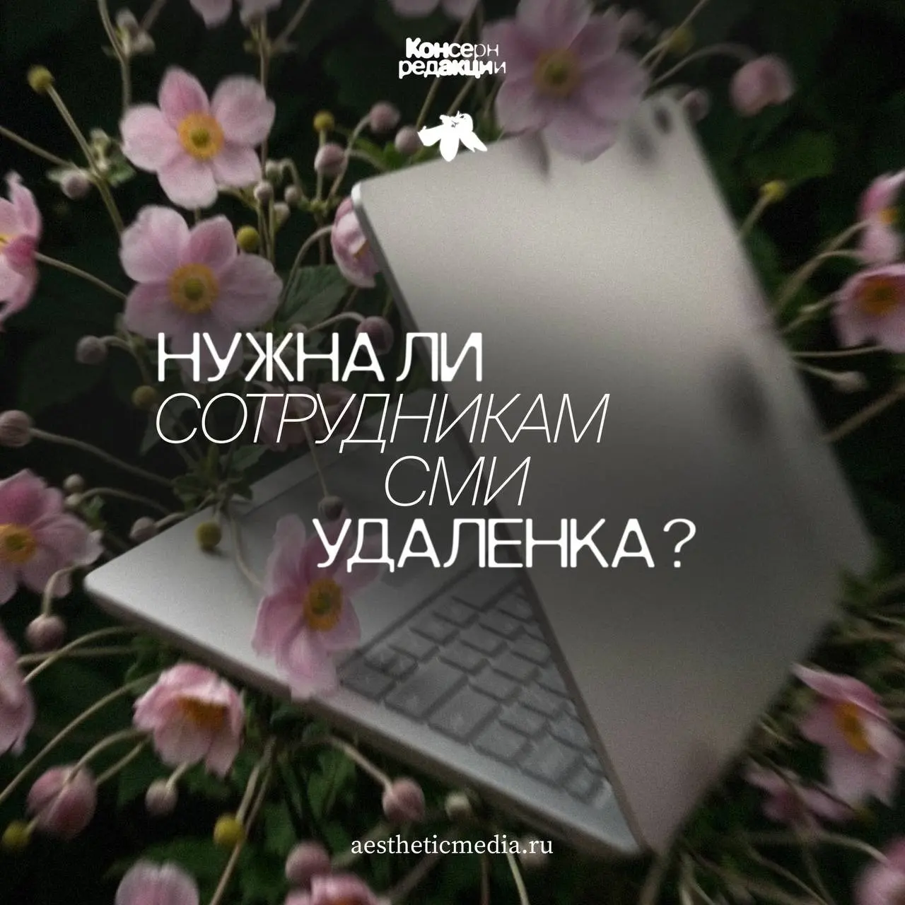СМИ НА УДАЛЕНКЕ | Сетка — социальная сеть от hh.ru