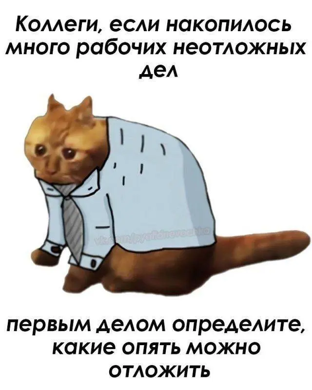 Настроение: конец рабочей недели
✉️ Подписывайтесь на БухNews
В этом посте были ссылки, но мы их удалили по правилам Сетки | Сетка — социальная сеть от hh.ru